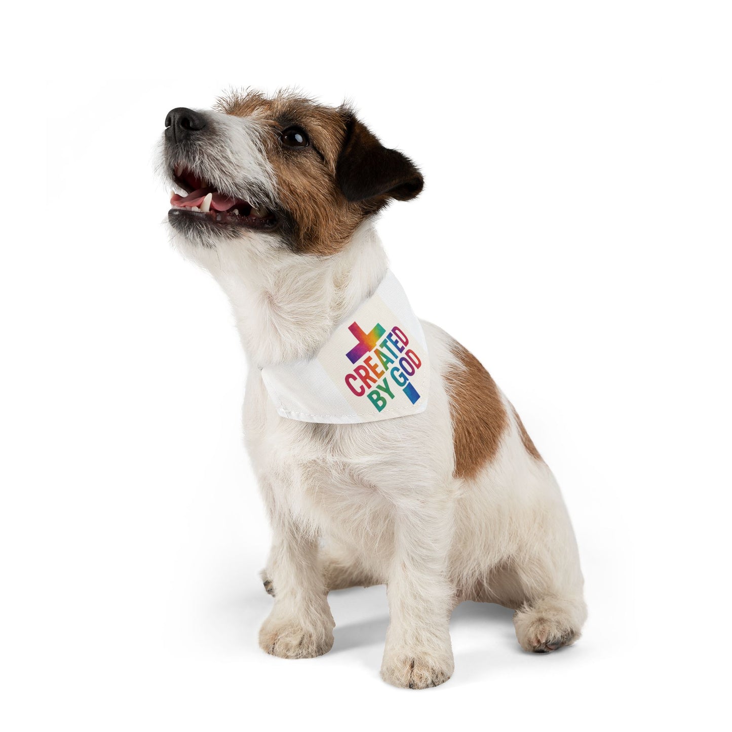 Dog Bandana